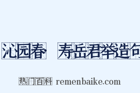 沁园春·寿岳君举造句是什么意思的图片